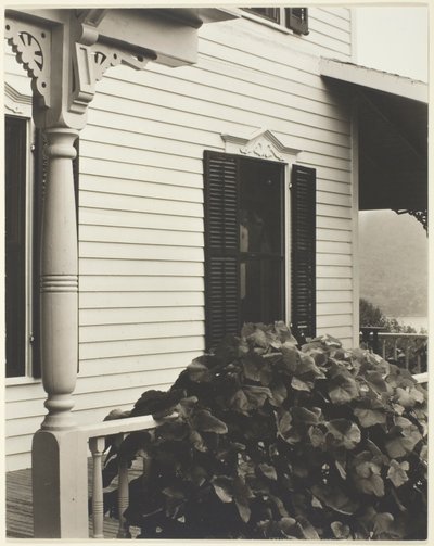 ハウスとブドウの葉 作： Alfred Stieglitz
