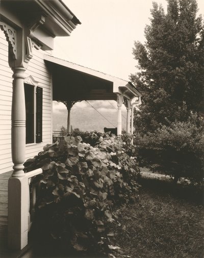 ハウスとブドウの葉 作： Alfred Stieglitz