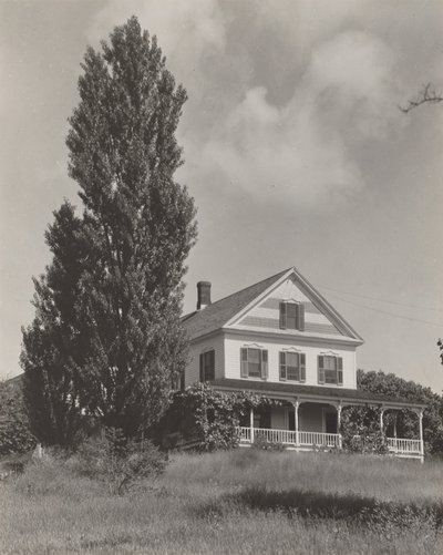  作： Alfred Stieglitz