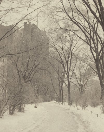  作： Alfred Stieglitz