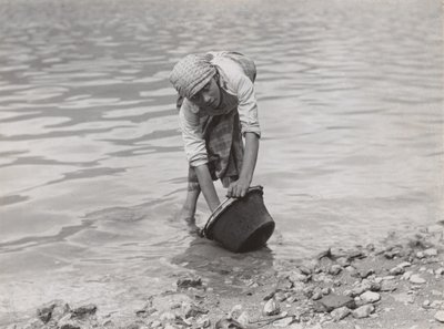  作： Alfred Stieglitz