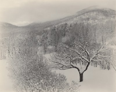  作： Alfred Stieglitz