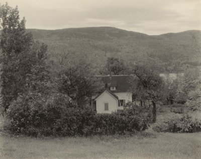 作： Alfred Stieglitz