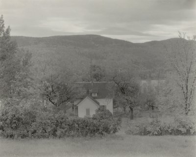  作： Alfred Stieglitz
