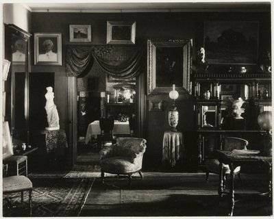 レイク・ジョージ、オークローン 作： Alfred Stieglitz