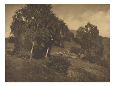 [風景、チロル］ 作： Alfred Stieglitz