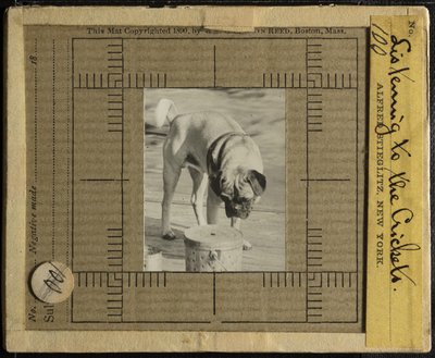 コオロギに耳を傾ける 作： Alfred Stieglitz
