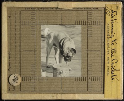 コオロギを聞く、c。 1900年。 作： Alfred Stieglitz