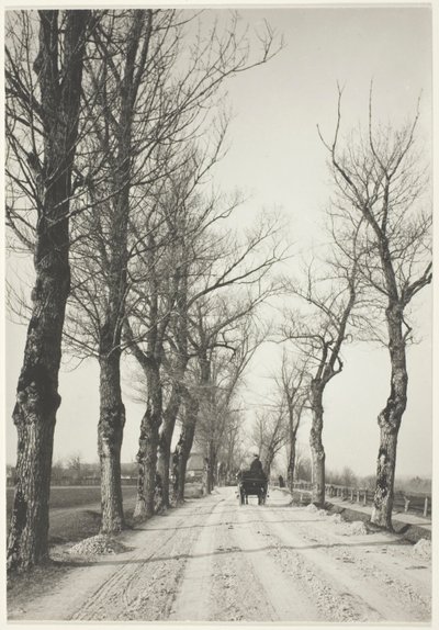 11月の日 作： Alfred Stieglitz