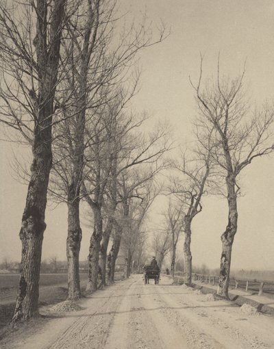  作： Alfred Stieglitz