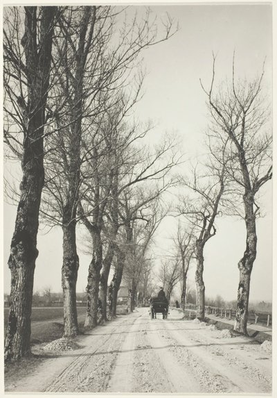 1887 年 11 月の日々、192039 年に印刷。 作： Alfred Stieglitz