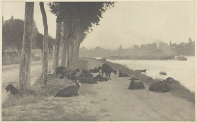 1894 年、パリ近郊のセーヌ川で、1897 年に印刷。 作： Alfred Stieglitz