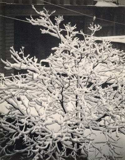 窓の外 - 291 - N.Y. 作： Alfred Stieglitz