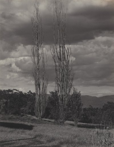  作： Alfred Stieglitz
