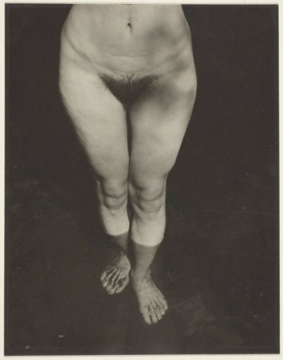 レベッカ・サルズベリー・ストランド 作： Alfred Stieglitz