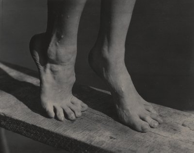  作： Alfred Stieglitz