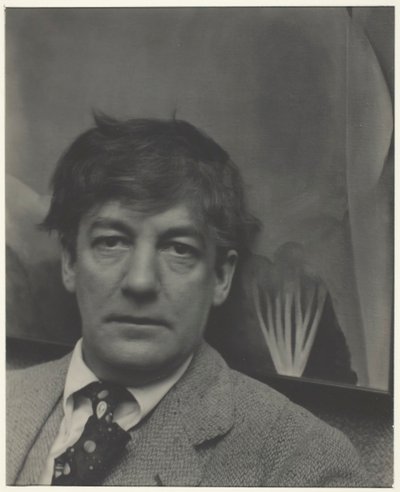 シャーウッド・アンダーソン、1923年。 作： Alfred Stieglitz