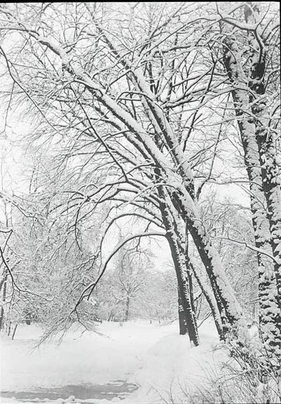 スノースケープ、ベルリン、188892。 作： Alfred Stieglitz