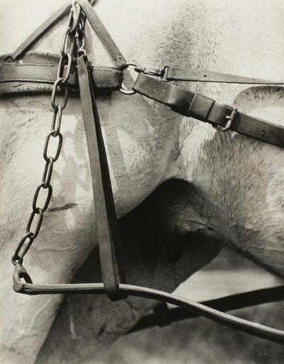 スピリチュアル アメリカ: 空の歌 A1 作： Alfred Stieglitz