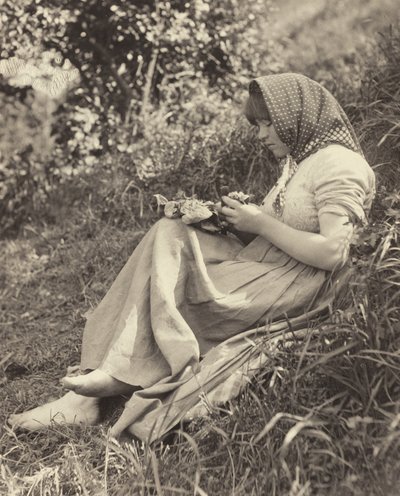  作： Alfred Stieglitz