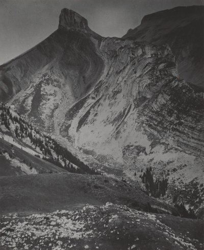  作： Alfred Stieglitz