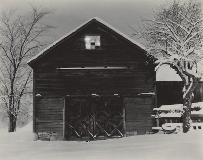  作： Alfred Stieglitz