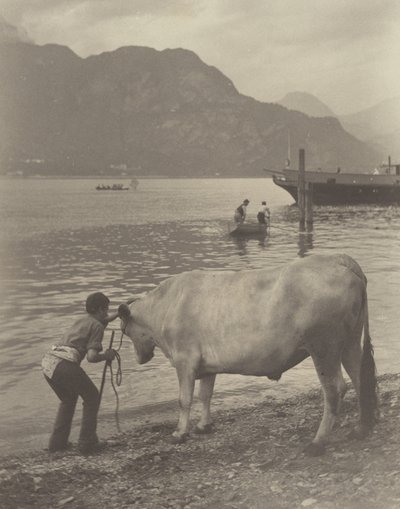  作： Alfred Stieglitz