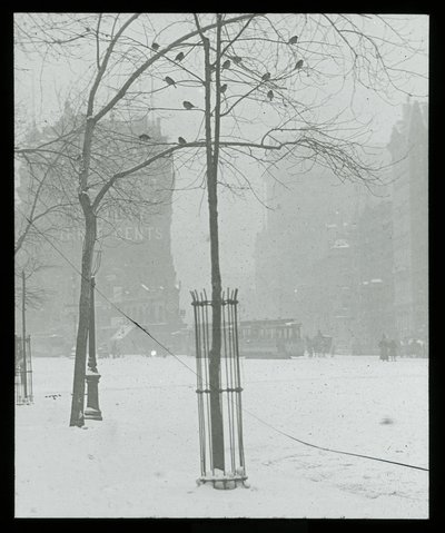 雪の中のツリー、ニューヨーク 作： Alfred Stieglitz