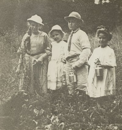 無題 (フローラ、エリザベス、ハワード、キティ、レイク ジョージ フィールド) 作： Alfred Stieglitz