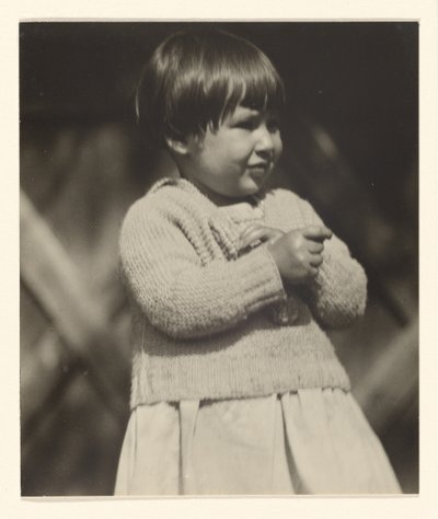 [イヴォンヌ・ブルソー、レイク・ジョージ]。 作： Alfred Stieglitz