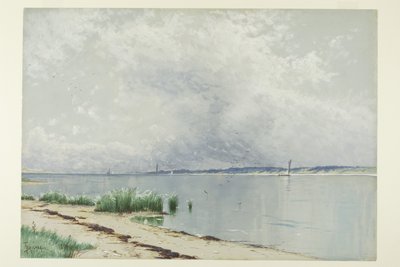 反射した葦 作： Alfred Thompson Bricher