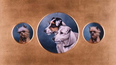 フォックス・テリアとヨークシャー・テリア 作： Alfred Wheeler