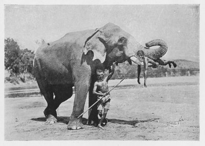 マリガワエレファントアンドマハウツ、c1890、1910 作： Alfred William Amandus Plate