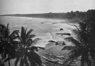 マウントラビニアからの眺め、海岸沿い、1890年、1910年に沿ってココナッツのヤシを表示 作： Alfred William Amandus Plate