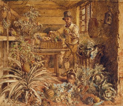 パイナップルとさまざまな野菜（紙にペン、インク、トイレ）を入れた鉢植えの小屋の庭師 作： Alfred William Hunt