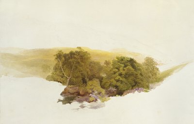マーティンズヒル、ドックウィッグ、1862年（グラファイトに水彩） 作： Alfred William Hunt