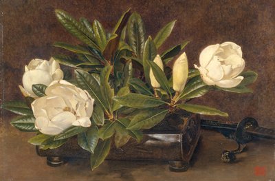 「マグノリア」、1867-1920 作： Alfred William Parsons