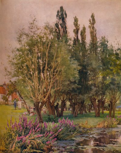 紫オカトラノオ、c1891 作： Alfred William Parsons