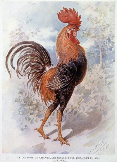 1908年に「コンスタント・ポピー」のためにデザインされた「シャンテクレールの雄鶏の衣装」、エドモンド・ロスタンの詩による作品 作： Alfredo Edel