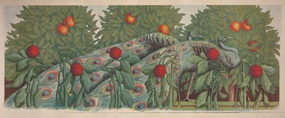 ピーコックズ、1903年。 作： Alfredo Müller