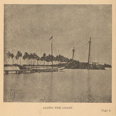海岸沿いに 作： Alice Dixon Le Plongeon