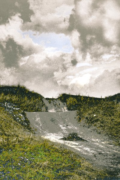Beach Path, 2018（手描きのリペイント写真） 作： Alice Gur-Arie
