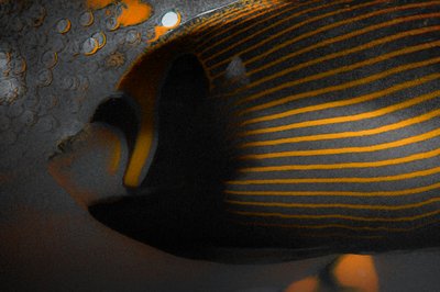 泡とストライプ、2018年（手描きリペイント写真） 作： Alice Gur-Arie