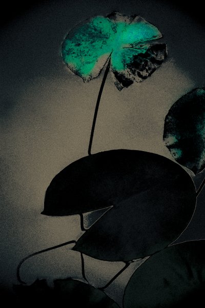 エメラルドの春、シリーズ「春」より、2020年（手描きのリペイント写真） 作： Alice Gur-Arie