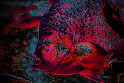フィンガーリング、2018年（手描きリペイント写真） 作： Alice Gur-Arie