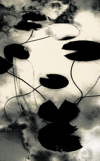 金粉の影、シリーズ「春」より、2020年（手で塗り直した写真） 作： Alice Gur-Arie