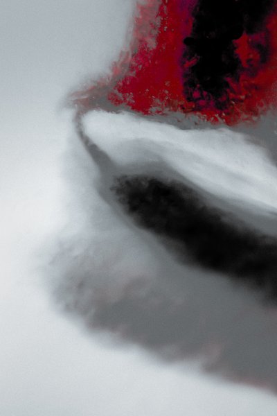 シリーズ『Mission』より 2019年（写真） 作： Alice Gur-Arie