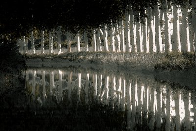 レンダリング、2018年（手で塗り直した写真） 作： Alice Gur-Arie