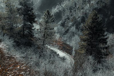 ミラノからの道、2018年（手描きリペイント写真） 作： Alice Gur-Arie