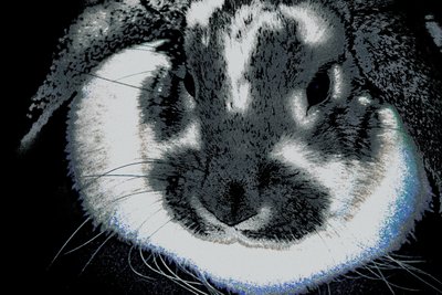 卯年、2022年（再塗装写真） 作： Alice Gur-Arie